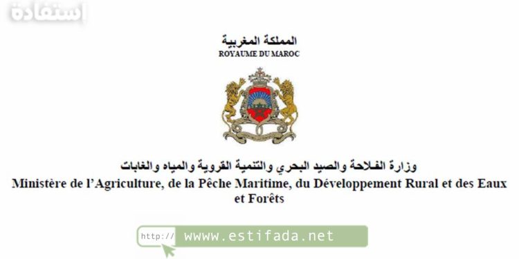وزارة الفلاحة والصيد البحري: مباراة توظيف 197 منصب 2024