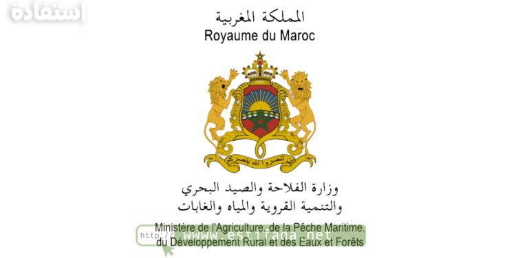 مباراة توظيف 197 منصب بوزارة الفلاحة والصيد البحري 2024