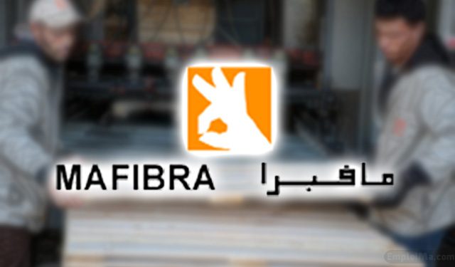 Mafibra recrute un Responsable, un Contrôleur et un Développeur Automaticien