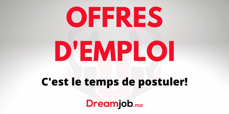 42 Offres d’Emploi pour Juniors et Seniors – N°372