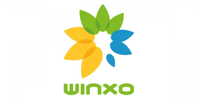 Winxo recrute plusieurs profils