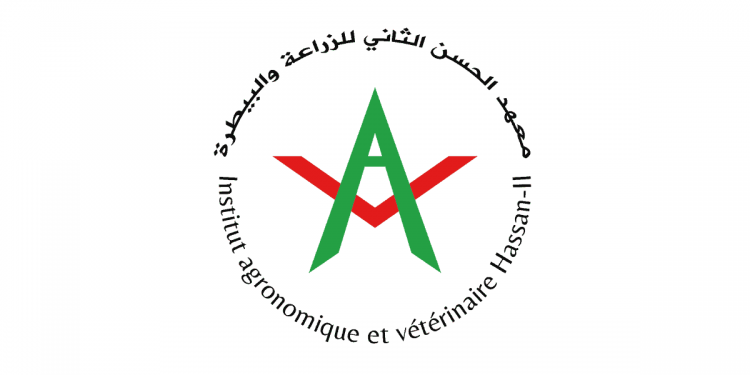 Concours IAV Hassan II 2022 (4 Postes)