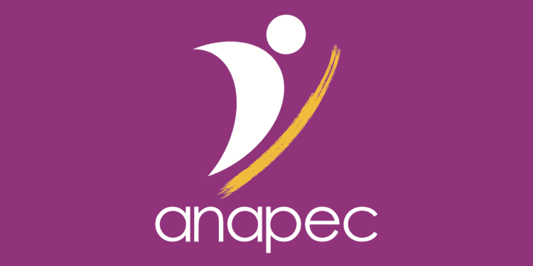 Anapec recrute des Formateurs
