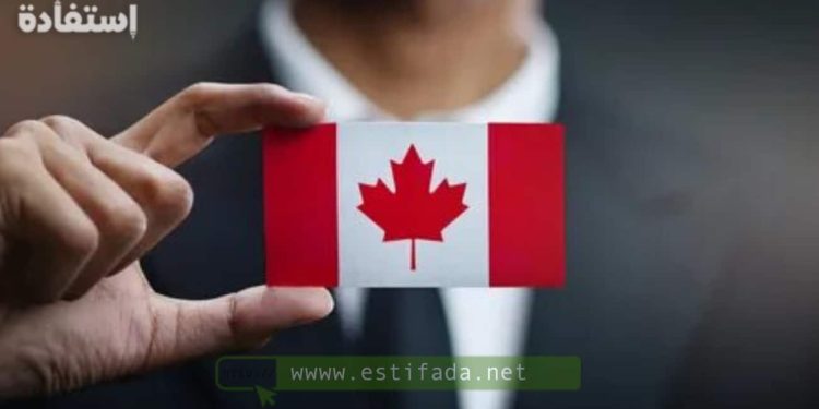 منح دراسية بكيبيك كندا ابتداء من البكالوريا 2024