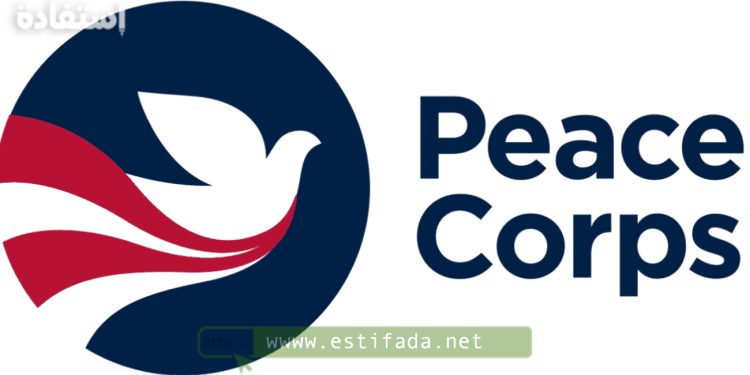 هيئة السلام توظف سائقين براتب 9783 درهم