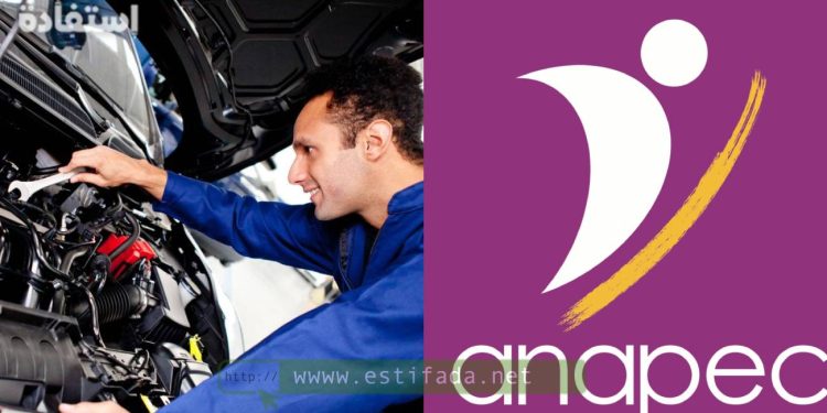 أنابيك سكيلز: مطلوب كهربائيين وميكانيكيين للحافلات بالمملكة العربية السعودية