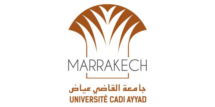 Concours Université Cadi Ayyad 2025 (3 Postes)